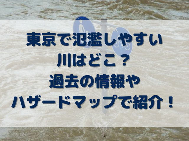 東京　氾濫しやすい川　どこ　過去　情報　ハザードマップ